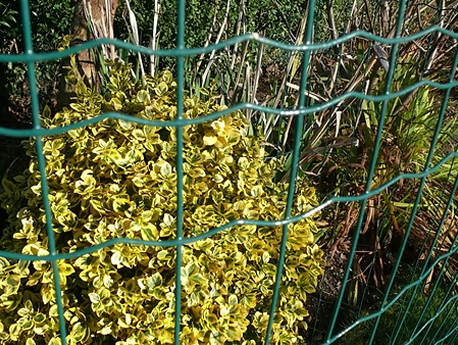 Eurofence Plus has smaller apertures at the top and a crimped design